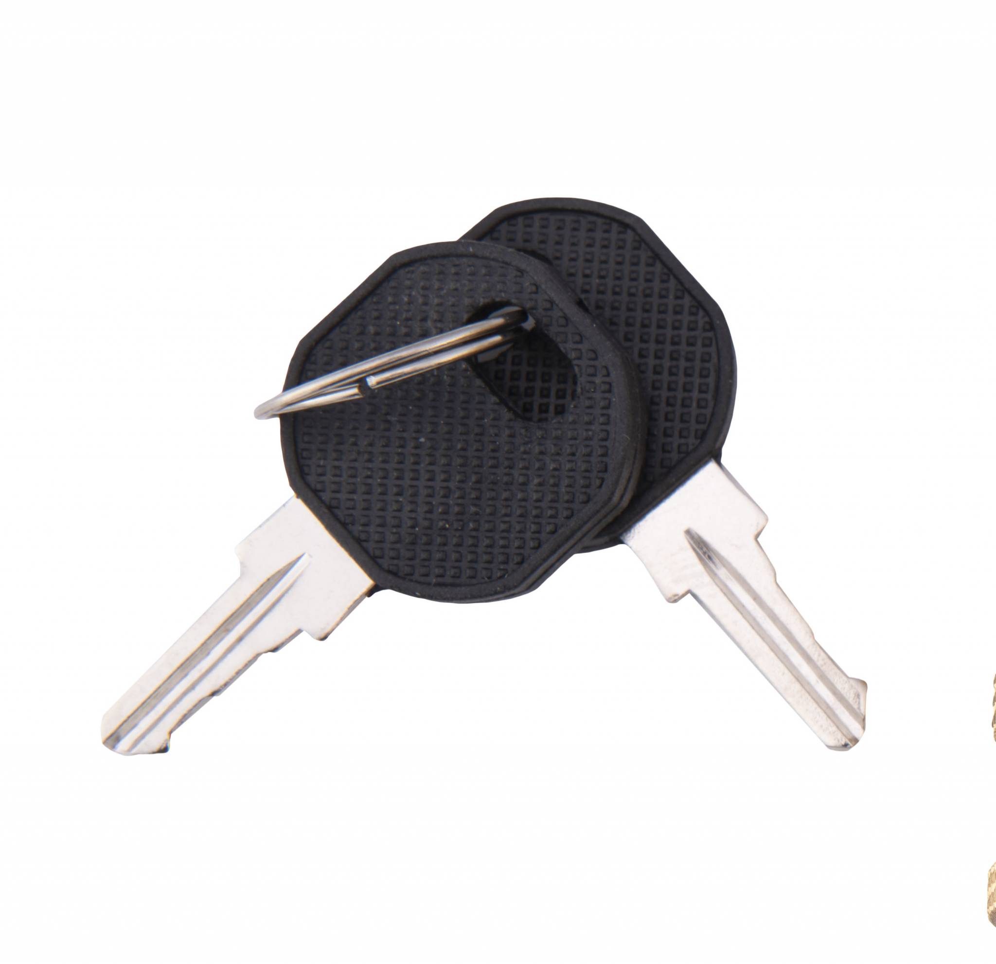 RECESSED GAS PLUG™ KEYS Burnaby Manufacturing Ltd.